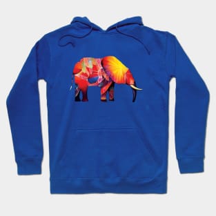 Elephant Art in Bold Blue, Yellow and Red Pattern Hoodie